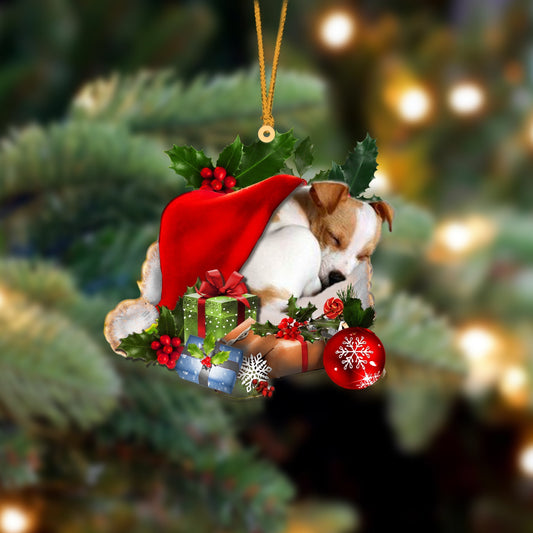Jack Russell Terrier-Sleeping In Hat Two Sides Ornament Dog Sleeping Ornament