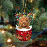Ornament- Labradoodle-In Christmas Pocket Two Sides Ornament, Happy Christmas Ornament, Car Ornament