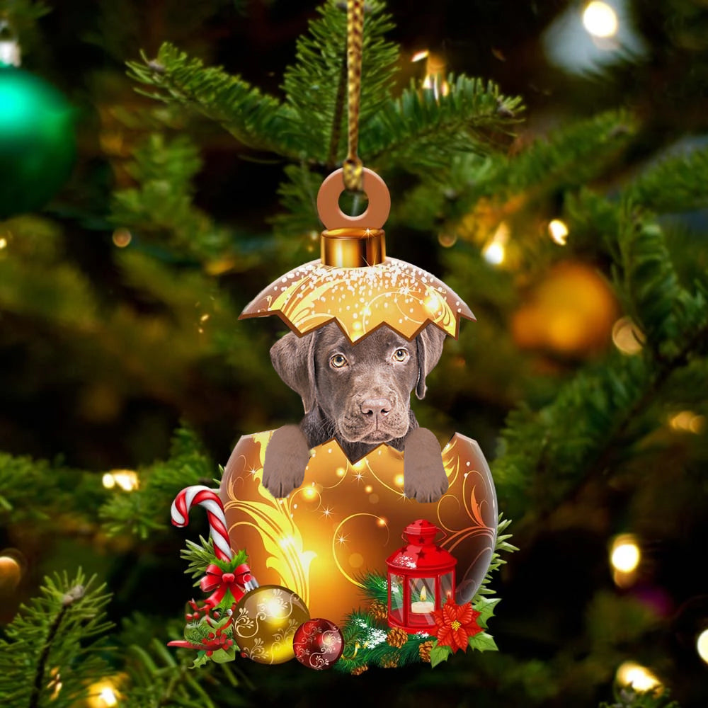 Labrador-Chocolate In Golden Egg Christmas Ornament