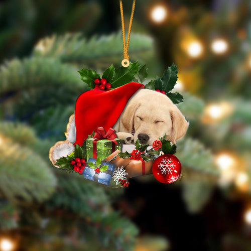 Labrador Retriever 2-Sleeping In Hat Two Sides Ornament Dog Sleeping Ornament