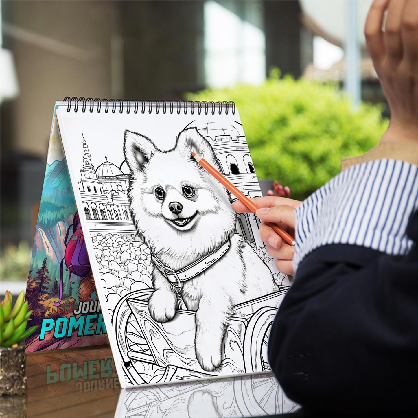 Journey of Pomeranian Coloring Book