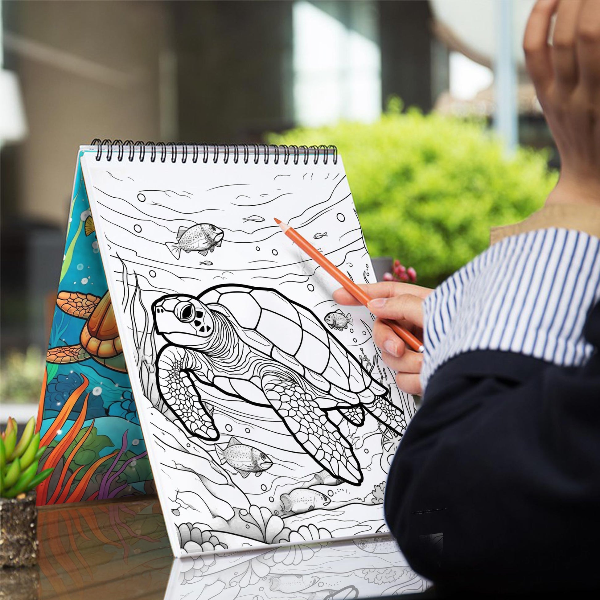 Sea Turtle Coloring Book