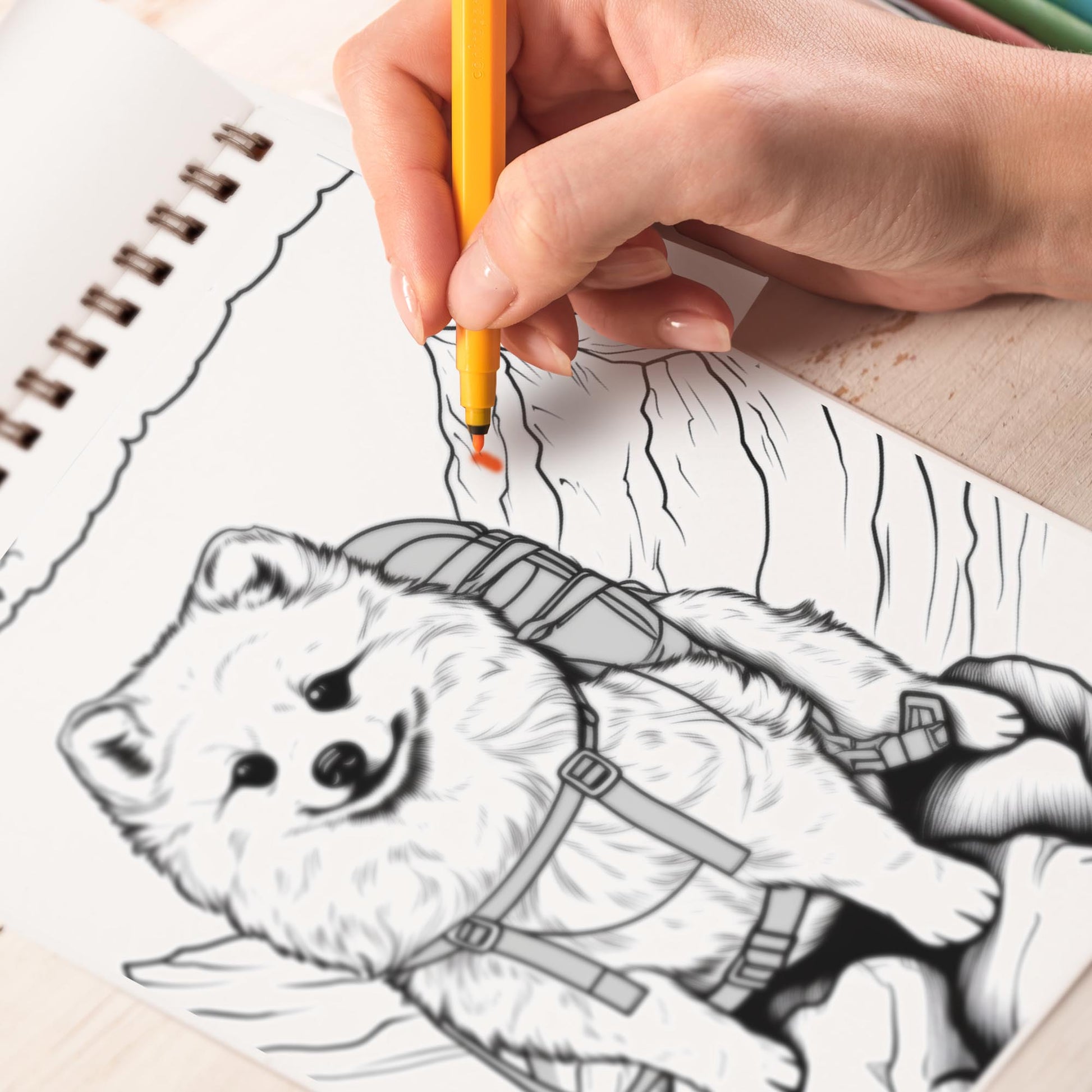 Journey of Pomeranian Spiral Coloring Book: 30 Whimsical Pomeranian Coloring Pages for Pomeranian Art Admirers to Embrace the Quirky Charm and Heartwarming Vibes of Pomeranian Adventures