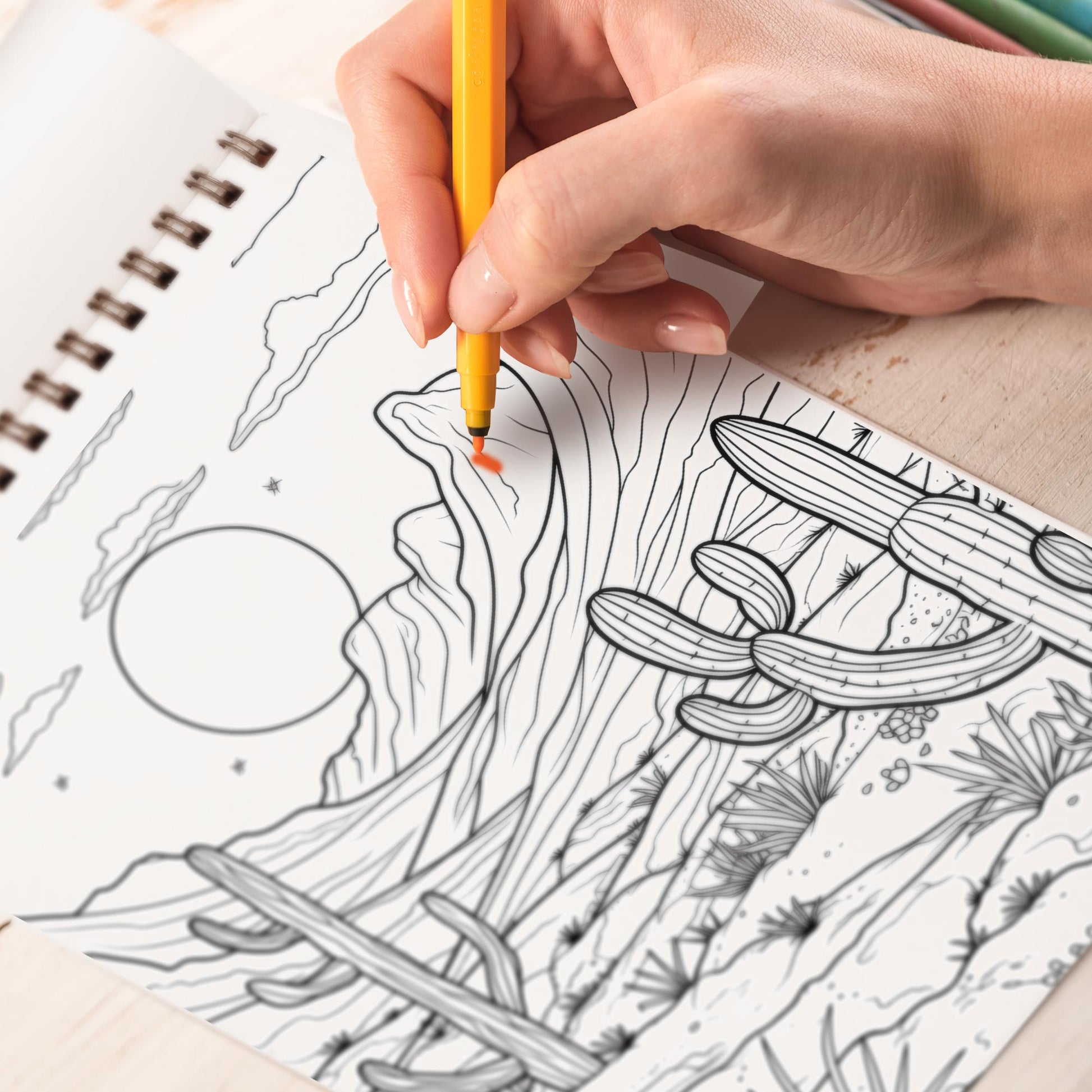 Desert Landscape Coloring Book