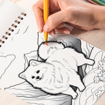 Journey of Pomeranian Coloring Book