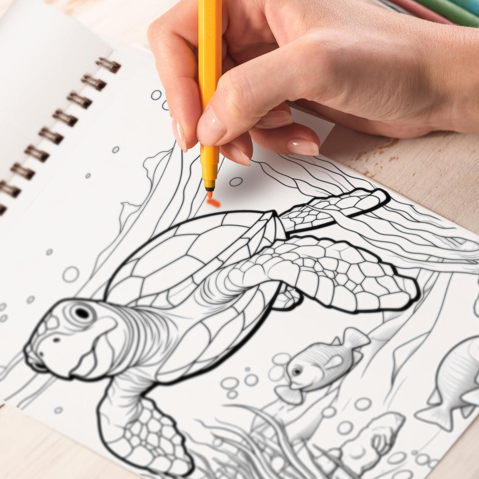 Sea Turtle Coloring Book