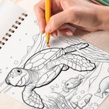Sea Turtle Coloring Book