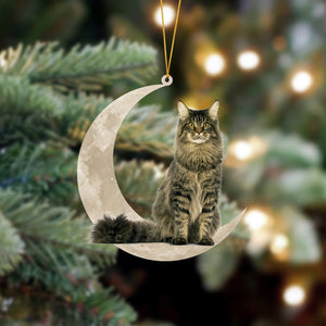 Maine Coon Cat Sits On The Moon Hanging Ornament Cat Christmas Acrylic Ornament