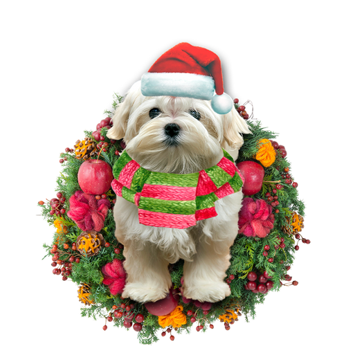 Godmerch- Ornament- Maltese Christmas Ornament, Happy Christmas Ornament, Car Ornament