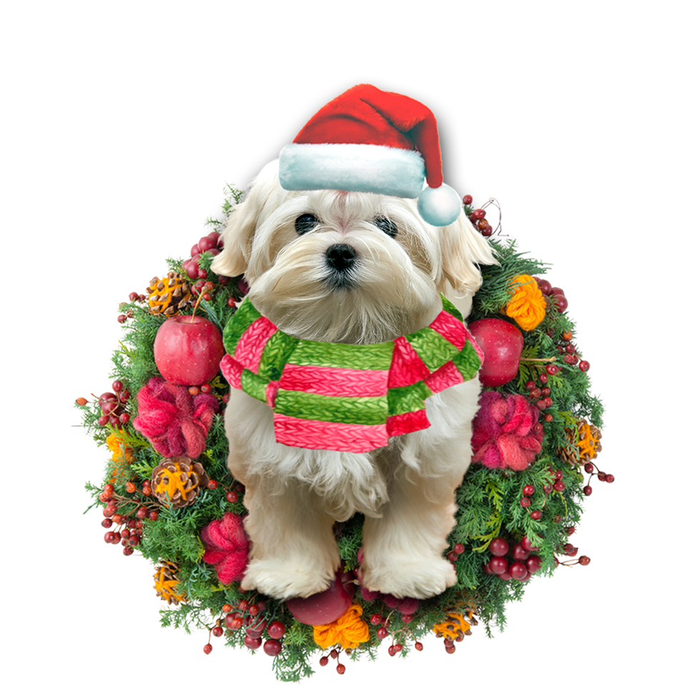 Godmerch- Ornament- Maltese Christmas Ornament, Happy Christmas Ornament, Car Ornament