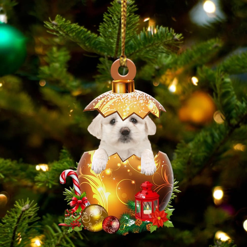 Maltese2 In Golden Egg Christmas Ornament