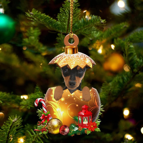 Miniature-Pinscher In Golden Egg Christmas Ornament