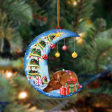 Ornament- Miniature Pinscher-Sleep On The Moon Christmas Two Sided Ornament, Christmas Ornament, Car Ornament