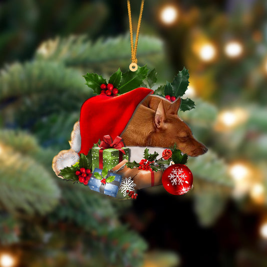 Miniature Pinscher-Sleeping In Hat Two Sides Ornament Dog Sleeping Ornament