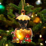 Miniature Pinscher In Golden Egg Christmas Ornament