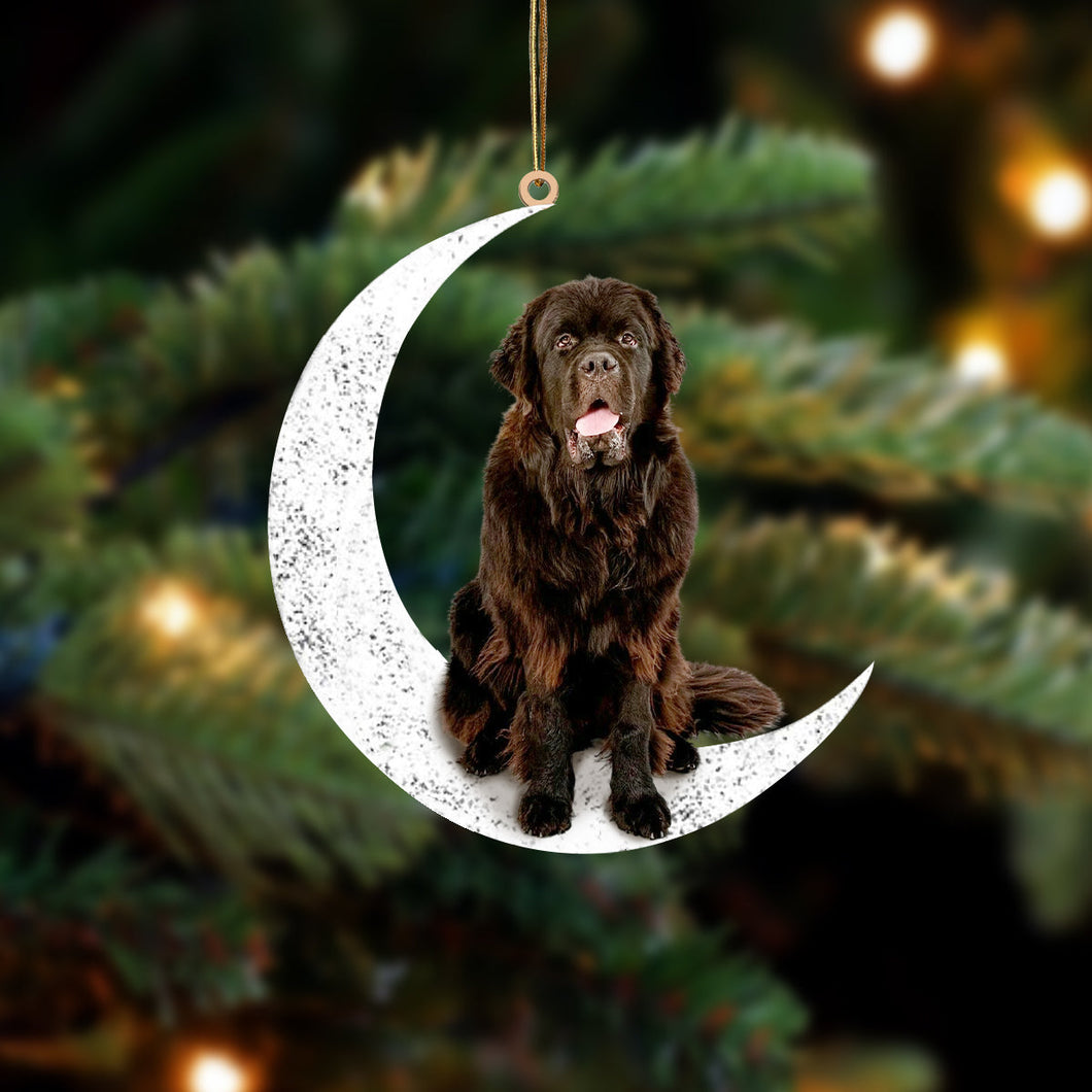 Newfoundland 2 Sit On The Moon Two Sided Ornament Dog Hanging Christmas Ornament