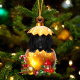 Newfoundland In Golden Egg Christmas Ornament