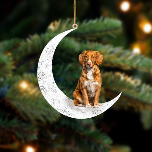 Nova Scotia Duck Tolling Retriever Sit On The Moon Two Sided Ornament Dog Hanging Christmas Ornament