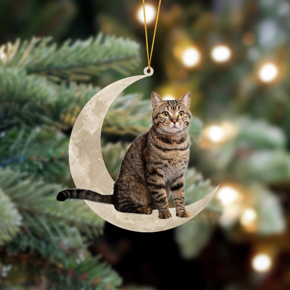 Ocicat Sits On The Moon Hanging Ornament Cat Christmas Acrylic Ornament