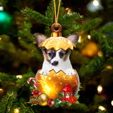 Papillon In Golden Egg Christmas Ornament