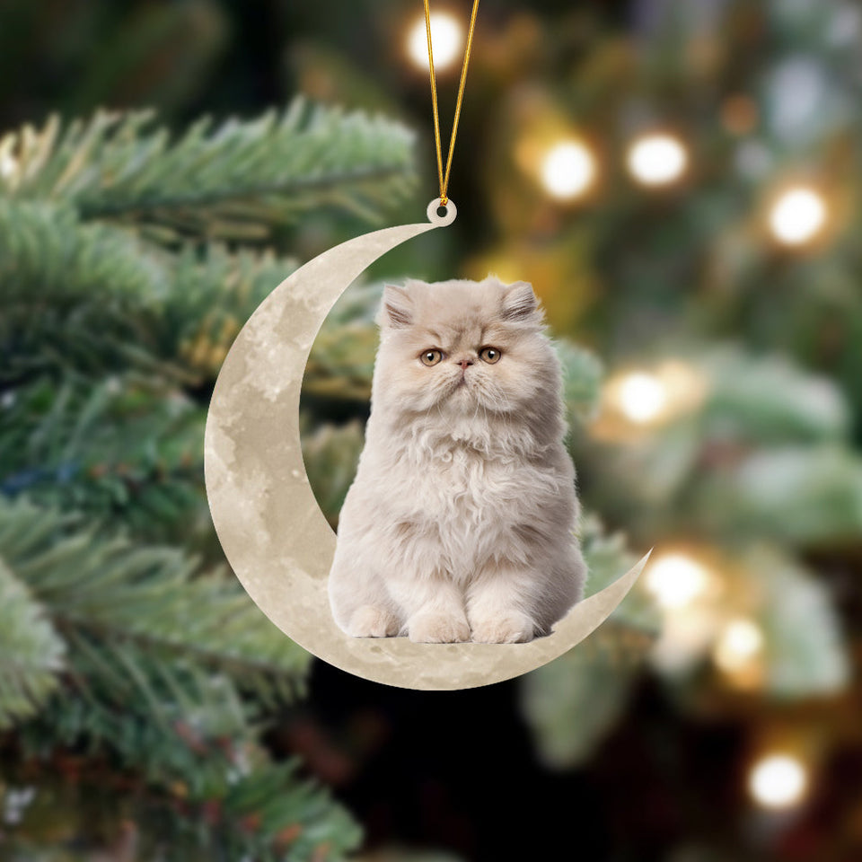 Persian Cat Sits On The Moon Hanging Ornament Cat Christmas Acrylic Ornament