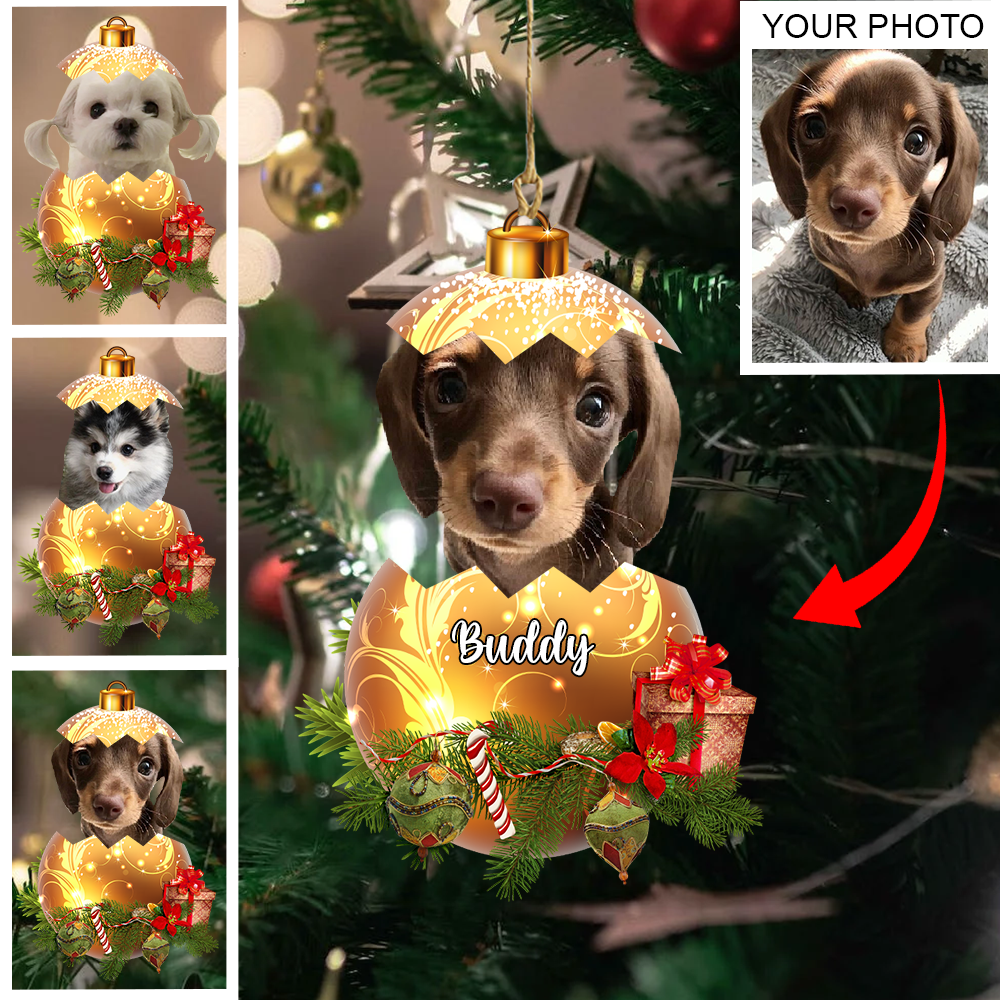 Personalized Gift For Pet Lovers Custom Image Pet In Egg Ornament