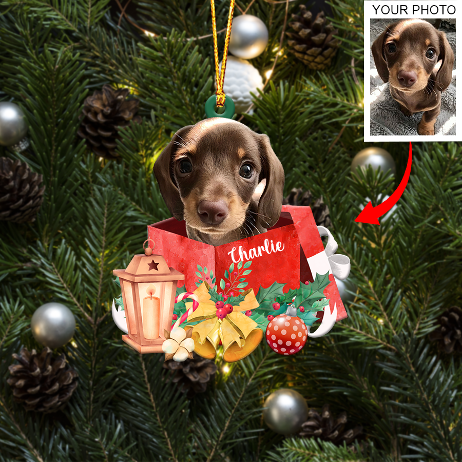 Personalized Gift For Pet Lovers Custom Image Pet In Gift Ornament