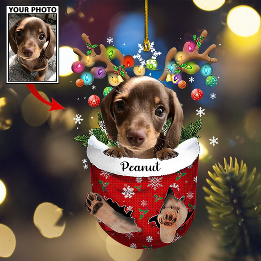 Personalized Gift For Pet Lovers Pet In Pocket Ornament