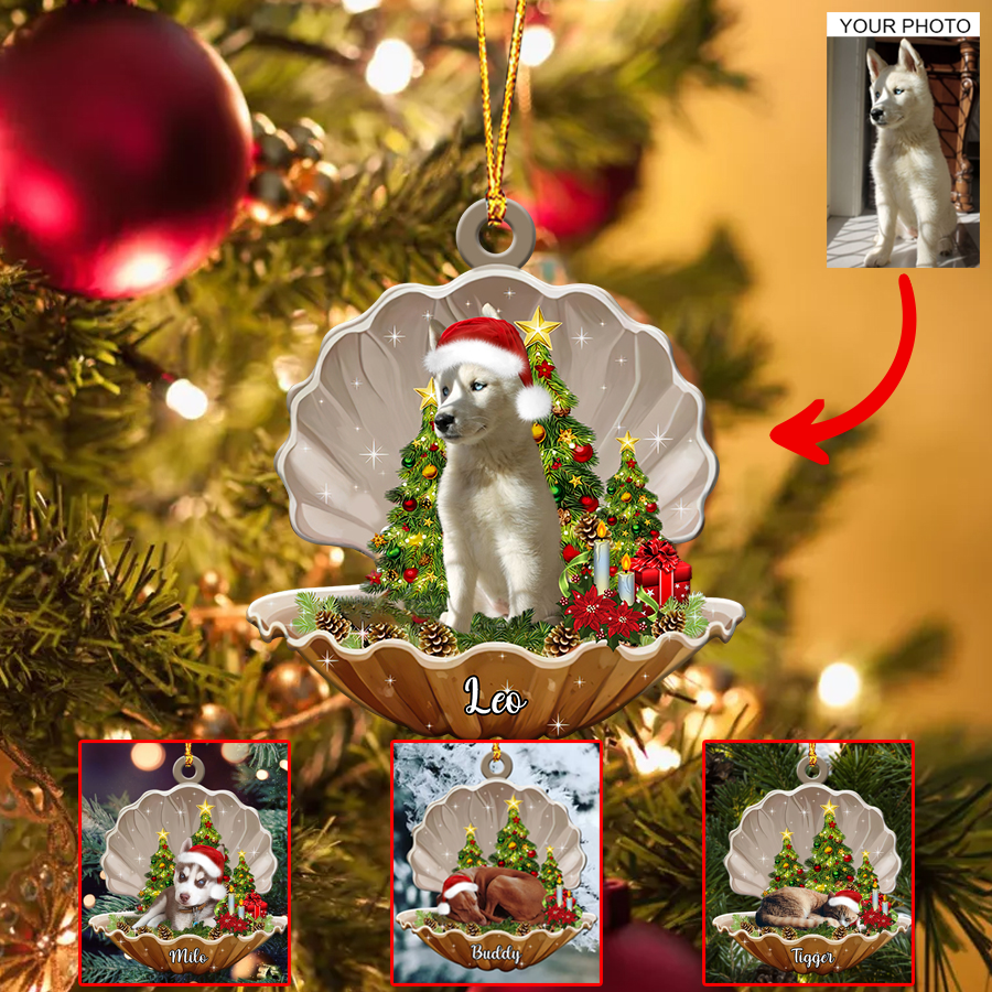 Personalized Gift For Pet Lovers Pet In Seashell Ornament