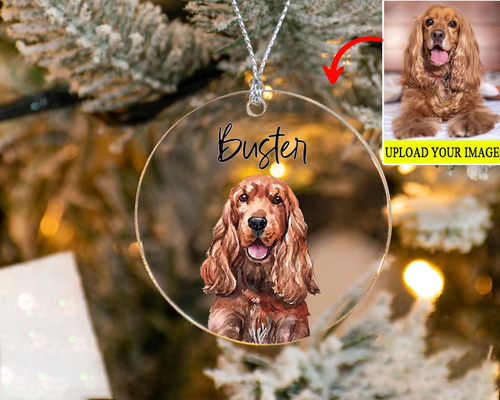 Personalized Gift For Pet Lovers Pet Watercolor Ornament