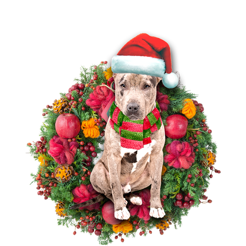 Godmerch- Ornament- Pit Bull Christmas Ornament, Happy Christmas Ornament, Car Ornament