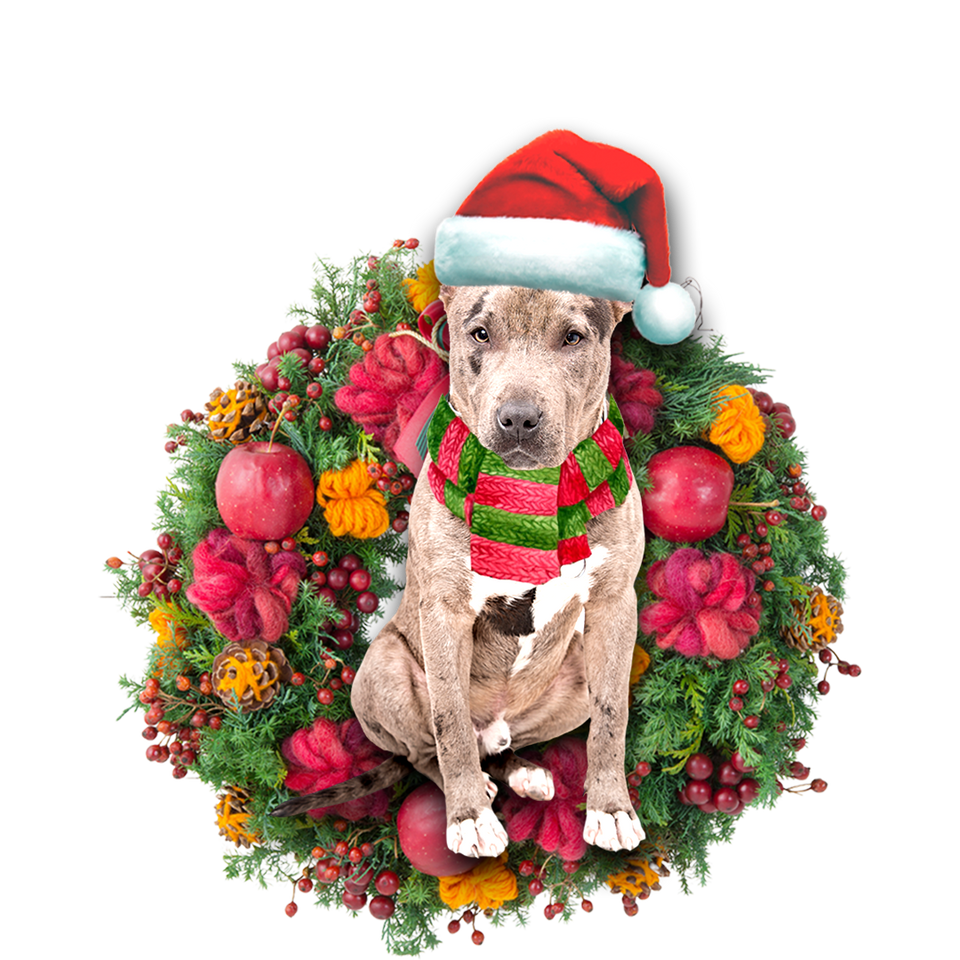 Godmerch- Ornament- Pit Bull Christmas Ornament, Happy Christmas Ornament, Car Ornament