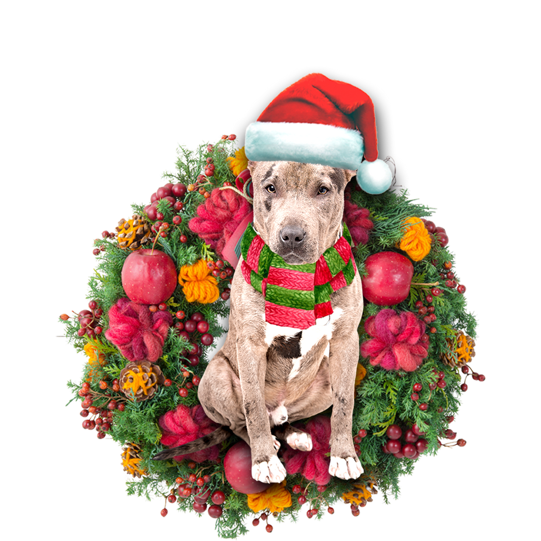 Godmerch- Ornament- Pit Bull Christmas Ornament, Happy Christmas Ornament, Car Ornament