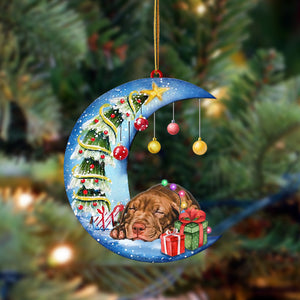 Ornament- Pitbull-Sleep On The Moon Christmas Two Sided Ornament, Happy Christmas Ornament, Car Ornament