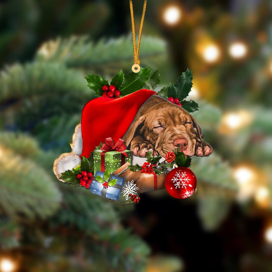 Pitbull-Sleeping In Hat Two Sides Ornament Dog Sleeping Ornament