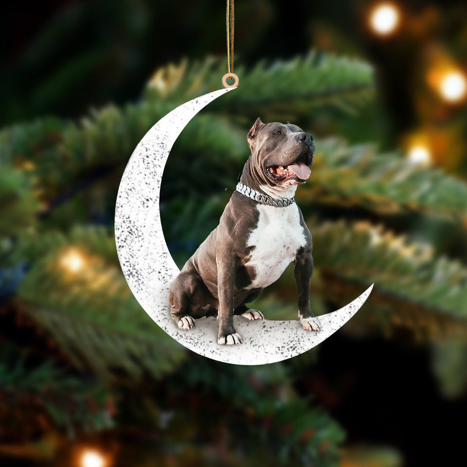 Pitbull 2 Sit On The Moon Two Sided Ornament Dog Hanging Christmas Ornament
