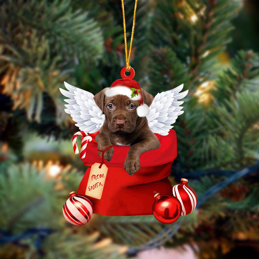 Pitbull 2 Angel Gift From Santa Christmas Ornament, Dog Flat Acrylic Ornament