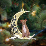 Godmerch- Pitbull I Love You To The Moon And Back Hanging Ornament Dog Ornament, Car Ornament, Christmas Ornament
