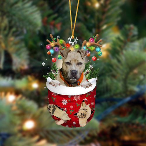 Pitbulll-In Christmas Pocket Two Sides Ornament, Christmas Dog Hanging Ornament