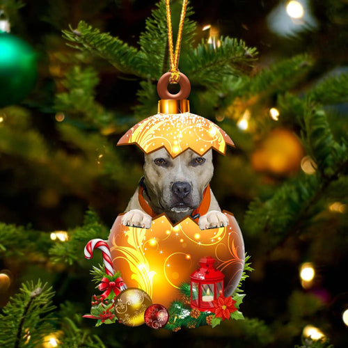 Pitbull .In Golden Egg Christmas Ornament