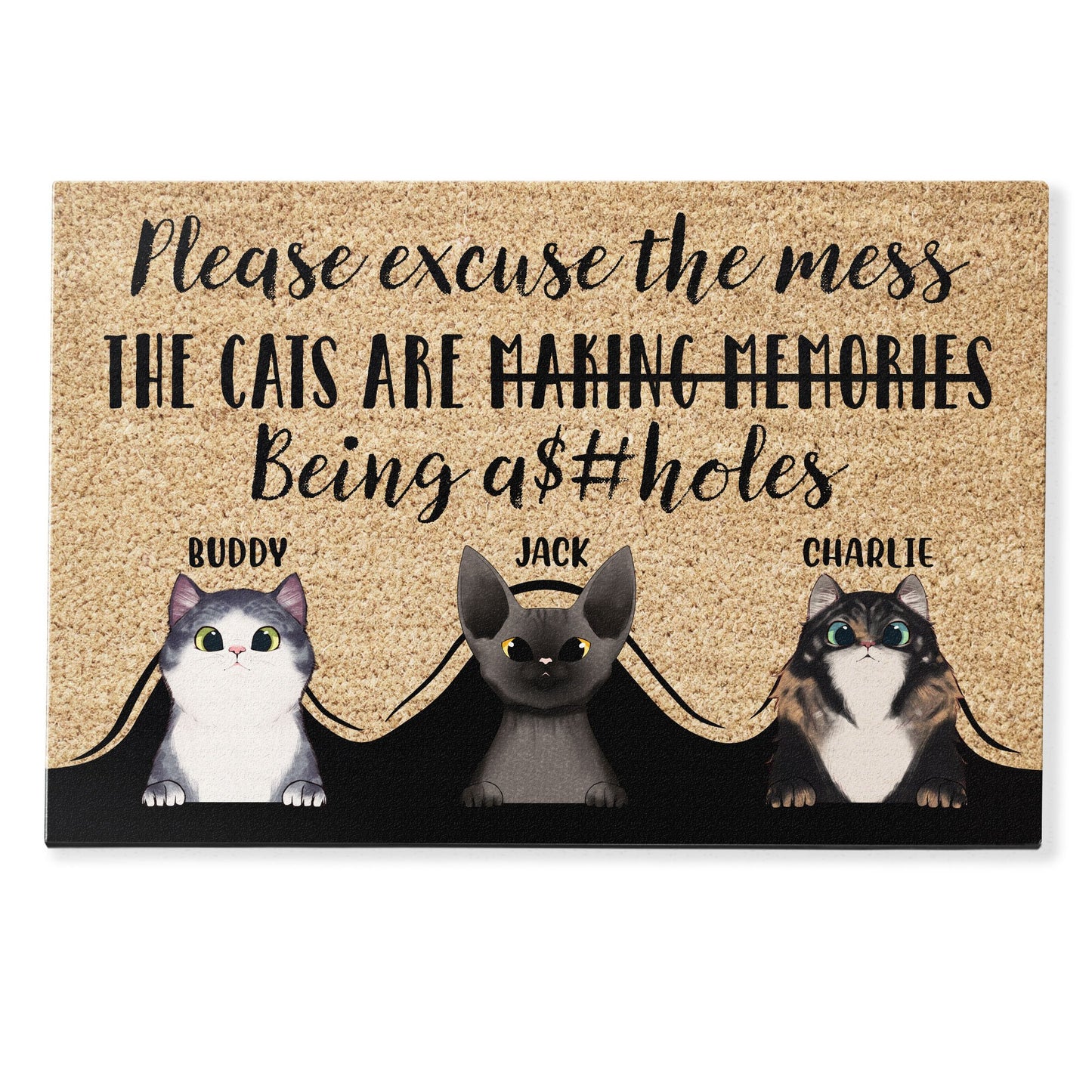 Please Excuse The Mess - Personalized Doormat - Gift For Cat Owner