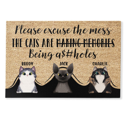 Please Excuse The Mess - Personalized Doormat - Gift For Cat Owner