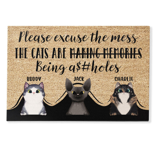 Please Excuse The Mess - Personalized Doormat - Gift For Cat Owner