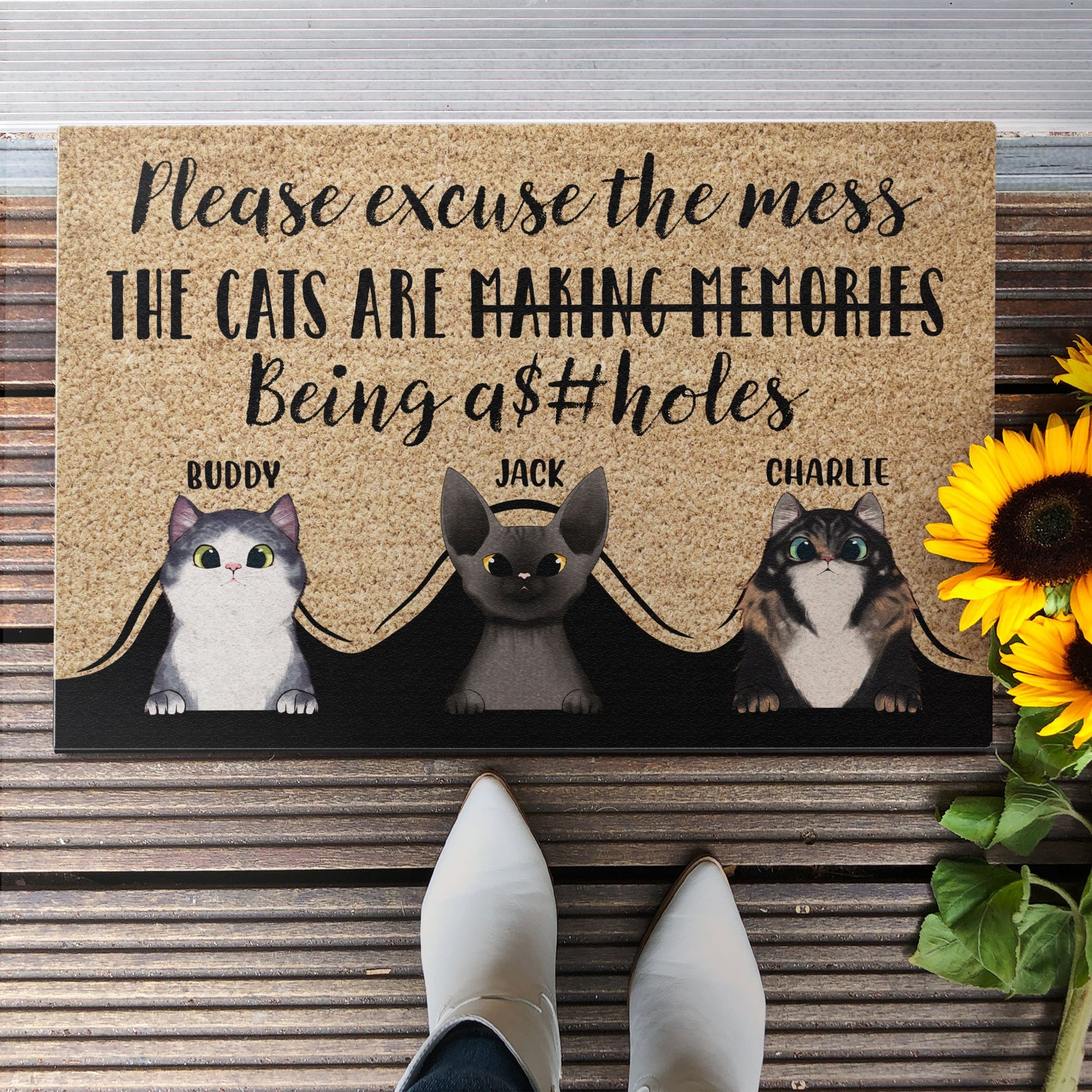 Please Excuse The Mess - Personalized Doormat - Gift For Cat Owner