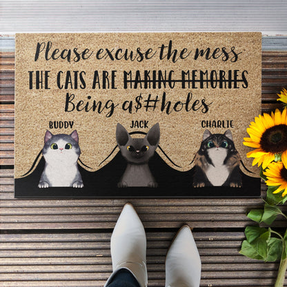 Please Excuse The Mess - Personalized Doormat - Gift For Cat Owner