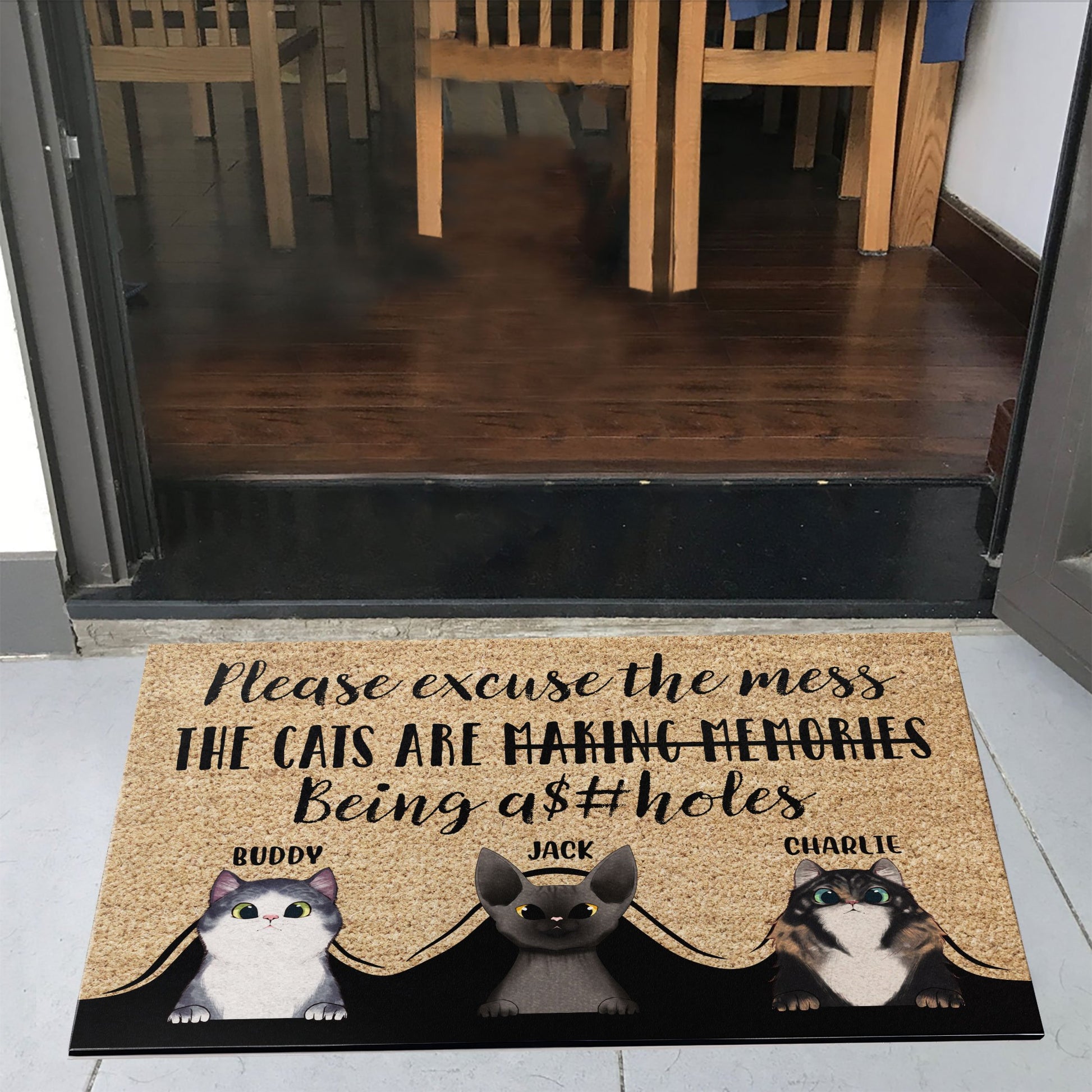 Please Excuse The Mess - Personalized Doormat - Gift For Cat Owner