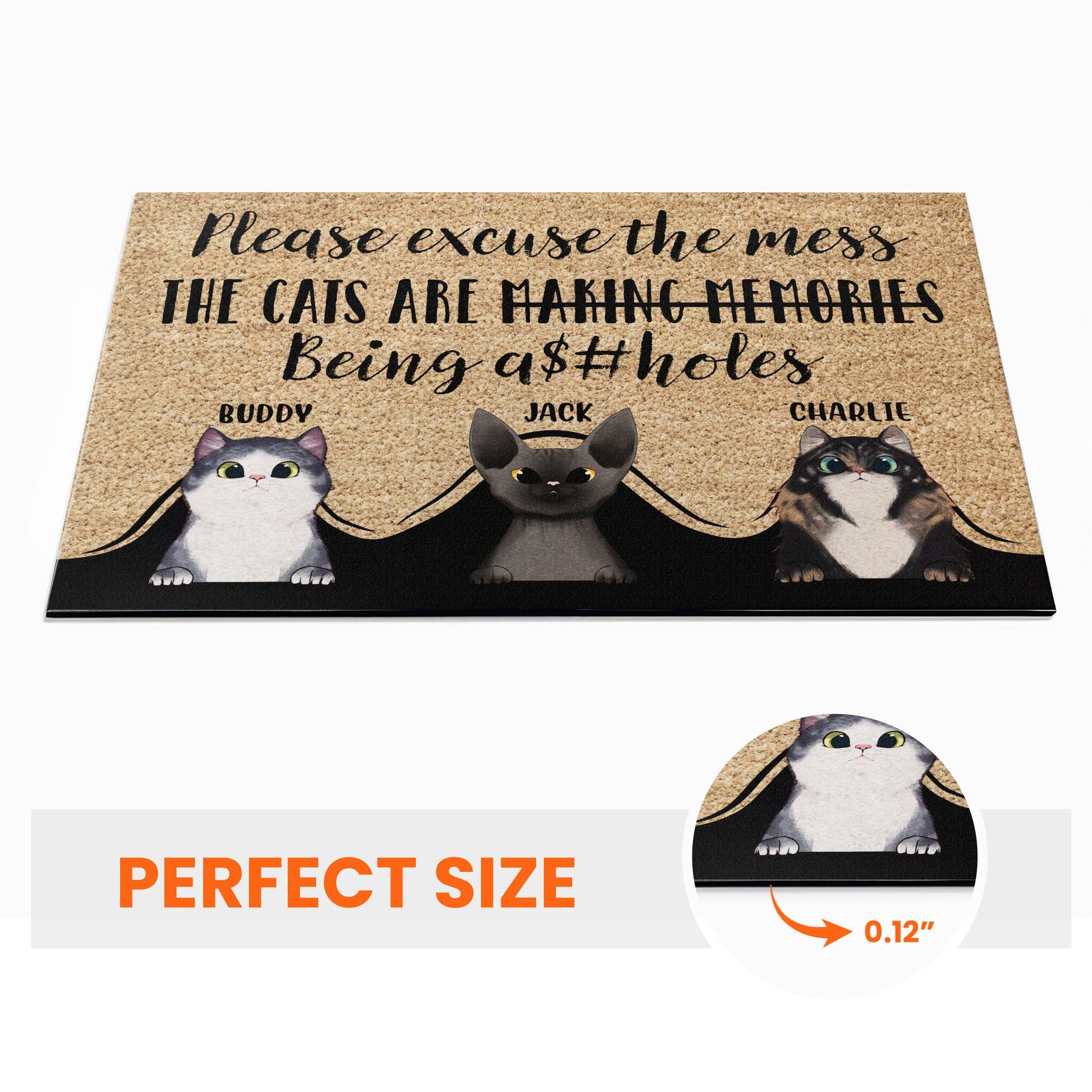 Please Excuse The Mess - Personalized Doormat - Gift For Cat Owner