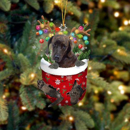 Plott Hound In Snow Pocket Christmas Ornament, Dog Flat Acrylic Ornament