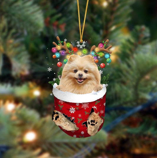 Pomeranian-In Christmas Pocket Two Sides Ornament, Christmas Dog Hanging Ornament