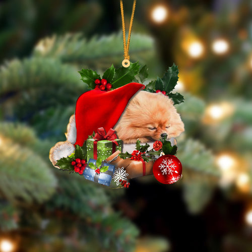 Pomeranian-Sleeping In Hat Two Sides Ornament Dog Sleeping Ornament